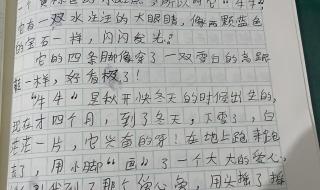 三年级下册语文作文一件有趣的事 三年级下册作文大全